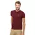 Camisa Lacoste Básica Peruana - Mix Ofertas