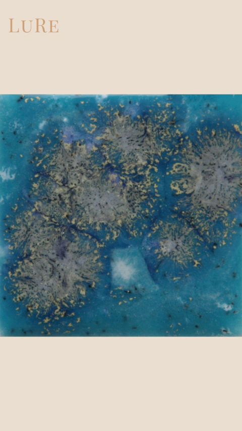S2711 TAHITI GRAPE