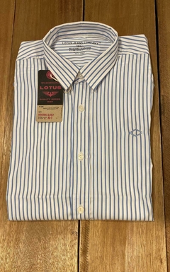 CAMISA BOUNTY (0775) - comprar online