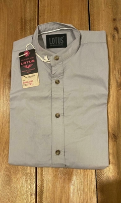 CAMISA LISA BRADLEY (0521)