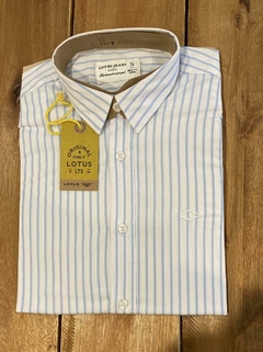 CAMISA RAYAS CRISTOPHER (0373) - q32