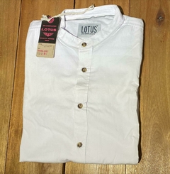 CAMISA LISA BRADLEY (0521) - q32