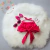 Conjunto Pink Princesa (código: 00021) na internet