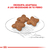 Royal Canin Alimento Seco para Perro Mini Adulto | 1 kg - Isla Pet Shop