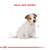 Royal Canin Alimento Seco para Perro Jack Russel Puppy | 3 kg