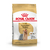 Royal Canin Alimento Seco para Perro Yorkshire Terrier Adult | 3 kg - comprar online