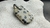 DIJE JASPE DALMATA LINEA ALPACA en internet