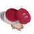 Pó Solto Niina Secrets Perfect Match 12g - Comic Beauty Store