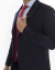 BLAZER BOLONIA en internet