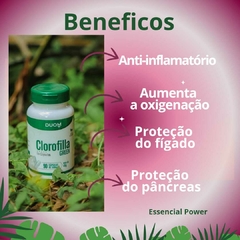 Clorofila