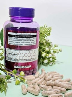 Psyllium - comprar online