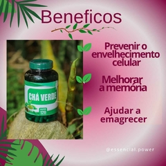 CHÁ VERDE
