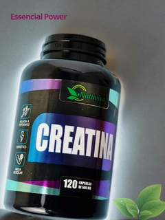 Creatina