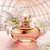 Lily Gardénia Eau de Parfum 75ml - Bia Ribeiro Perfumaria