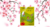 Livro de Chines Fonetica Fluente