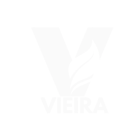 Vieira Drones