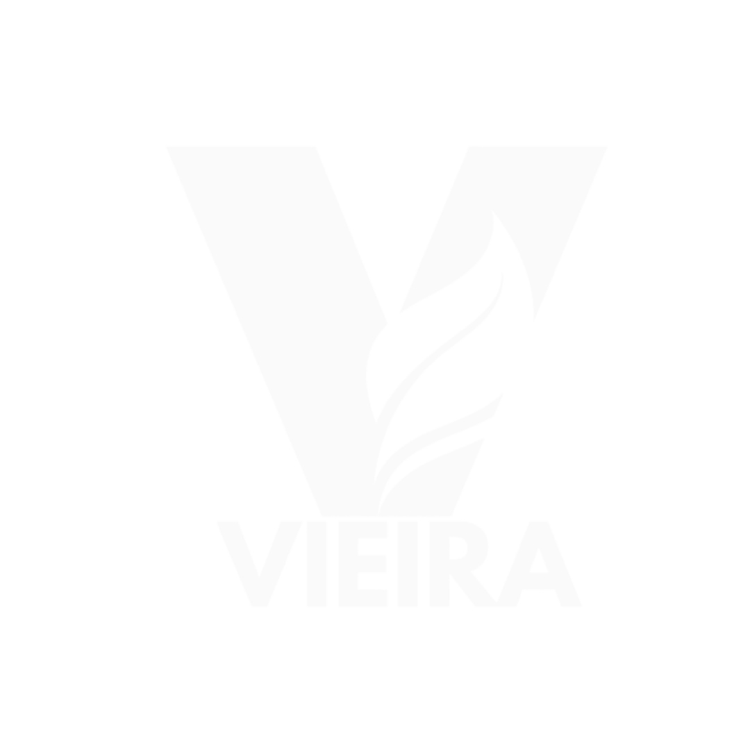 Vieira Drones