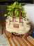 Imagem do Bolsa Madrid