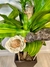 Flor y Pajaro