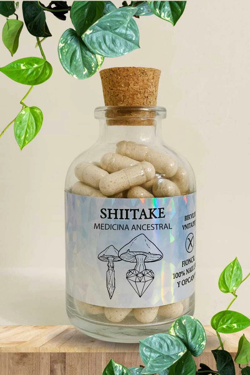 Shiitake 180 Cápsulas