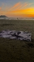 Canga/painel retangular Buda preto e branco na internet