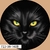 Canga Redonda Kanoê Gato Preto Magia - comprar online