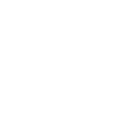 Rebelde Store
