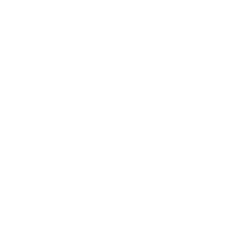 Rebelde Store