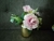 Flores Rosas