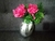 Flores Rosas