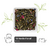 Blend de Té Verde Floral