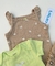 Set bodies - pantalón Carter´s - comprar online