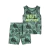 Conjunto 2pç Camiseta Regata Melhor Irmão Carter's - buy online