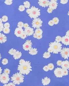 Camiseta Azul Floral Menina Oshkosh na internet