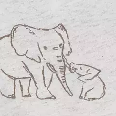 Conjunto 3pç Elefante Carter's na internet