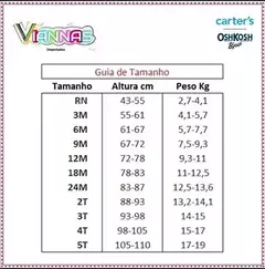 Conjunto 2pç Moletom Com Capuz Raposa Carter's - loja online