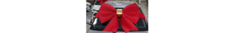 Banner da categoria laços automotivos