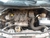Sucata Renault Scenic Privilege Hi-Flex 1.6 16V 2005 - Para retirada de peças na internet