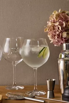 COPA GIN TONIC MONTPELLIER x 6