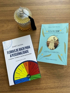 Combo 2 livros - comprar online