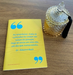 Imagem do Kit cadernos - Cores e Frases