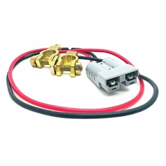 CABO P/ MODULO BATERIA 12V 55CM 0019 RAGTECH