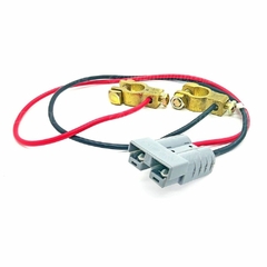 CABO P/ MODULO BATERIA 12V 55CM 0019 RAGTECH - comprar online