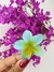 Pregadeiras de flor MÉDIA