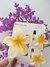 Kit pregadeiras de flor