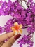 Pregadeira de flor PEQUENA - comprar online
