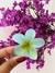 Pregadeira de flor GRANDE