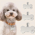 Placa para mascota - comprar en línea