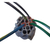 Chicote e Plug Conector do CDI Honda Xr 250 Tornado - MOTO SUPPLY - Distribuidora de Moto Peças