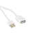 Cabo Extensor USB 2.0 de 6 metros Branca